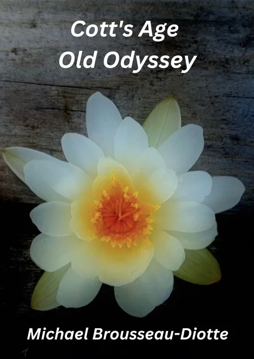 Cott's Age Old Odyssey постер