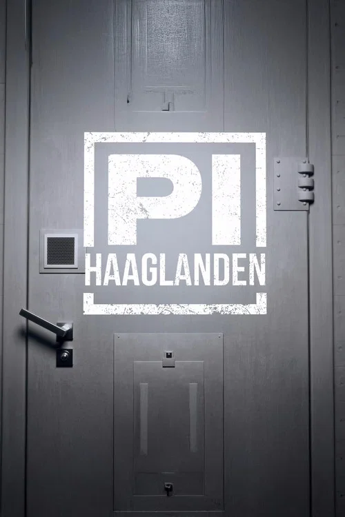 P.I. Haaglanden постер