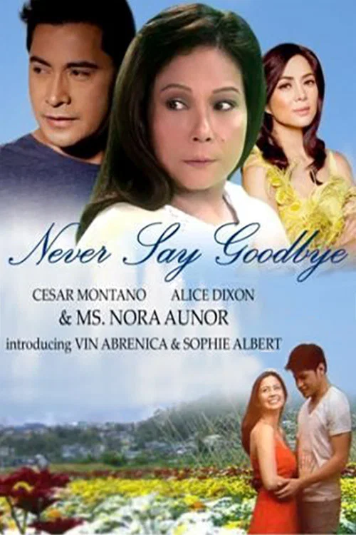 Never Say Goodbye постер