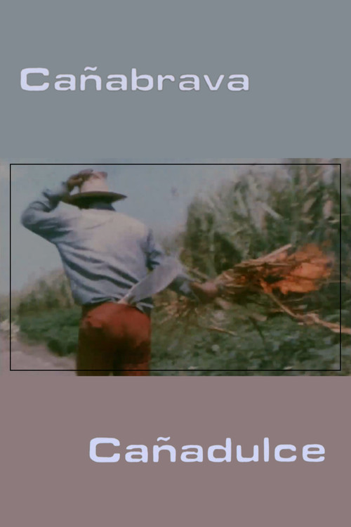 Cañabrava Cañadulce постер