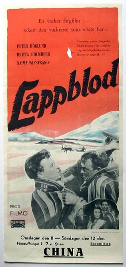 Lappblod постер