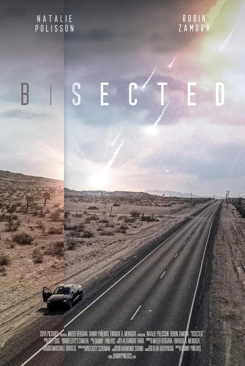 Bisected постер