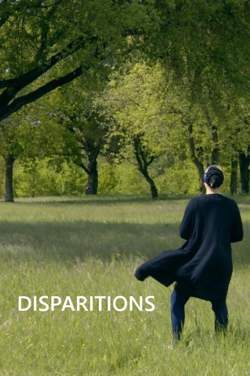 Disparitions постер