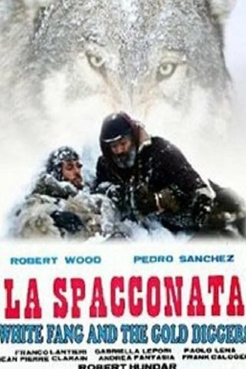 La spacconata постер