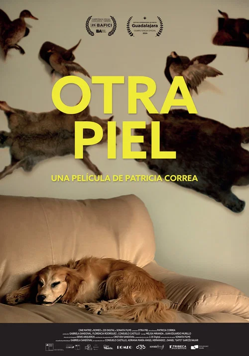 Otra piel постер