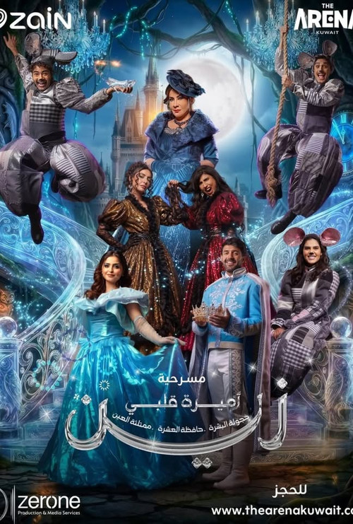 اميرة قلبي زين постер