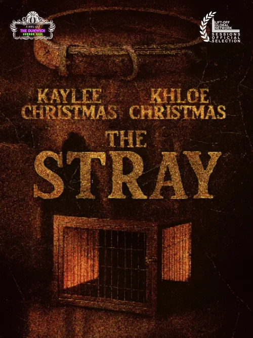 The Stray постер