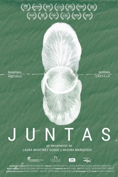 Juntas постер