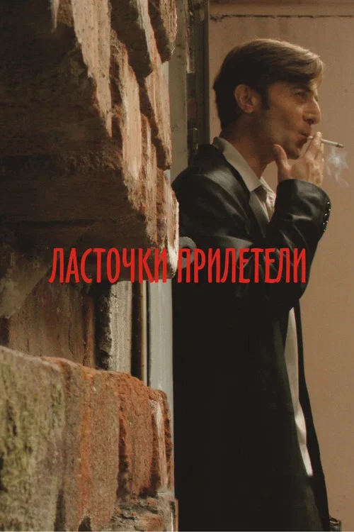 Ласточки прилетели постер