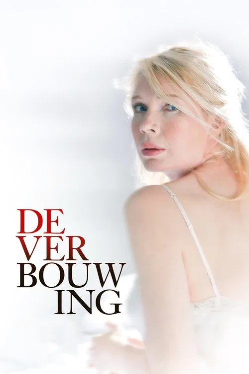 De verbouwing постер