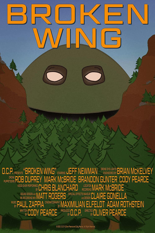 Broken Wing постер