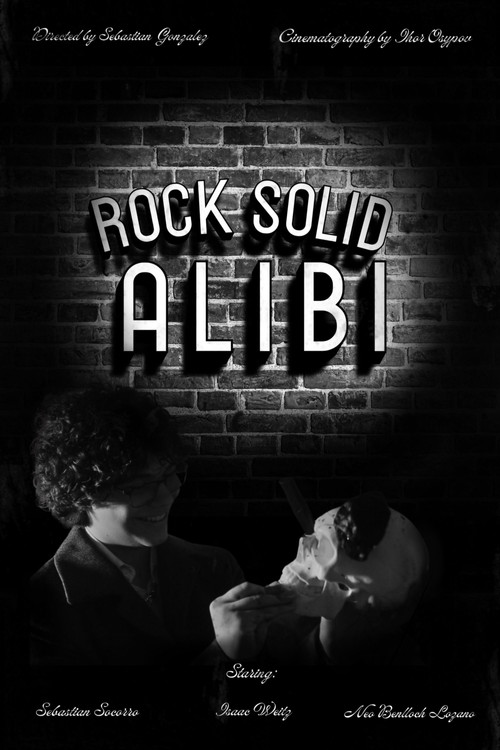 Rock Solid Alibi постер