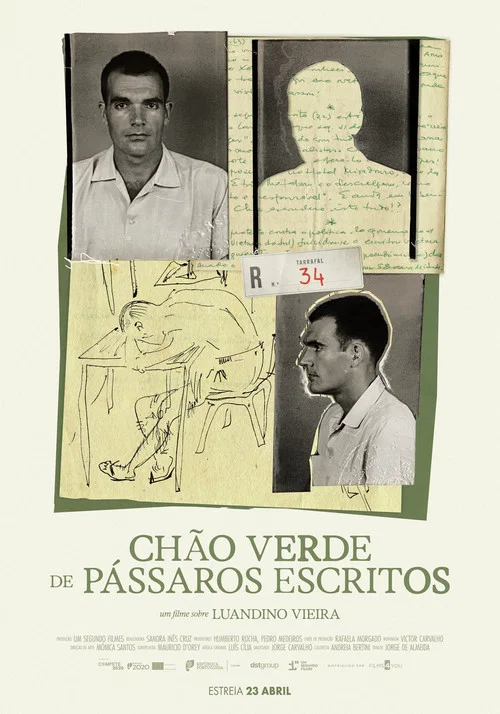 Chão Verde de Pássaros Escritos постер