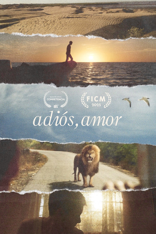 Adiós, amor постер