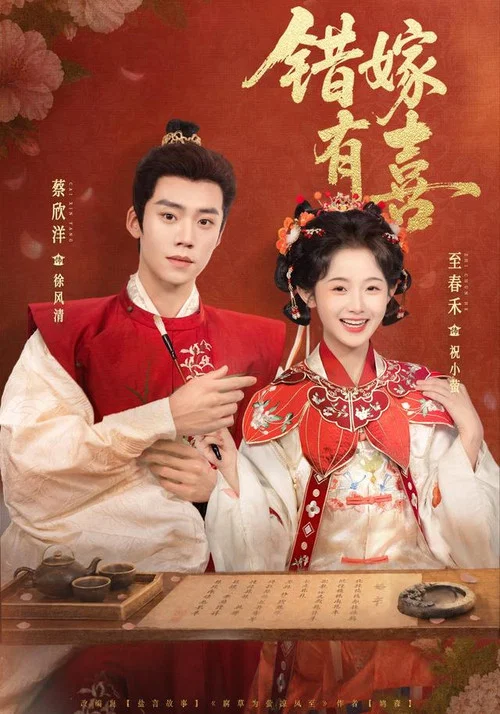 错嫁有喜 постер