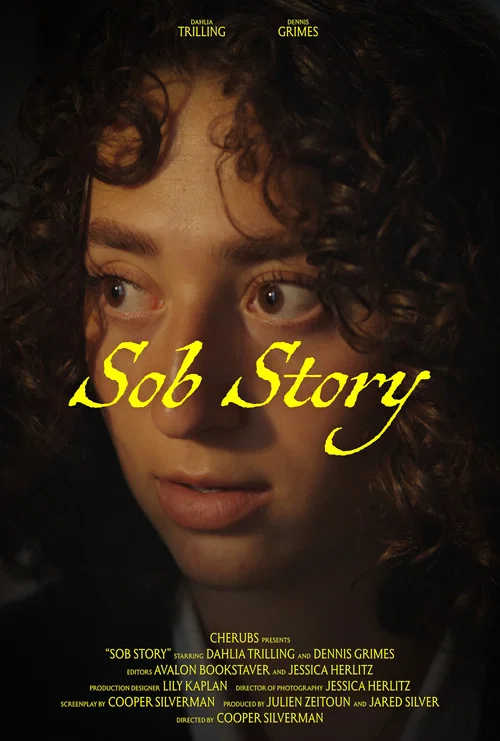 Sob Story постер