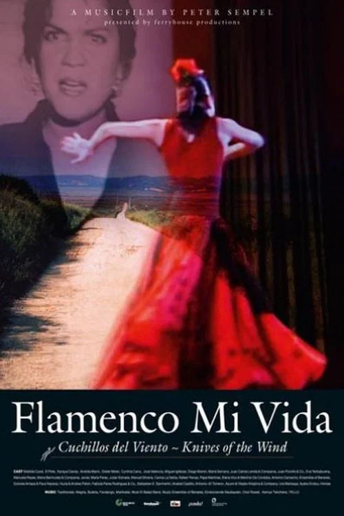 Flamenco mi vida - Knives of the wind постер