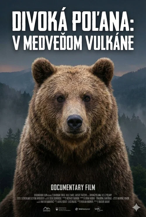 Divoká Poľana: V medveďom vulkáne постер