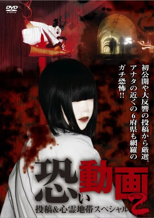 恐い動画 投稿＆心霊地帯スペシャル 2 постер