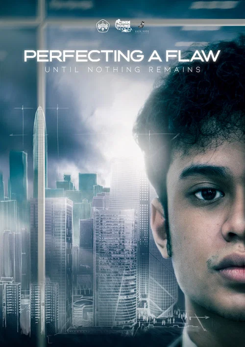 Perfecting A Flaw Until Nothing Remains постер