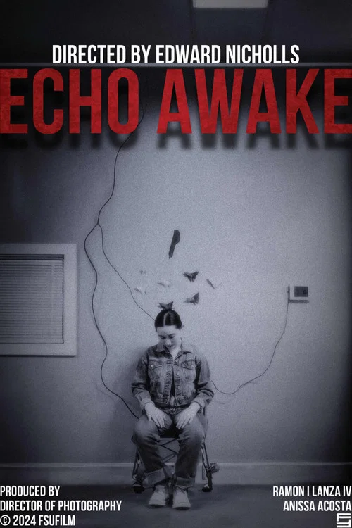 Echo Awake постер