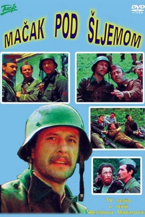 Mačak pod šljemom постер