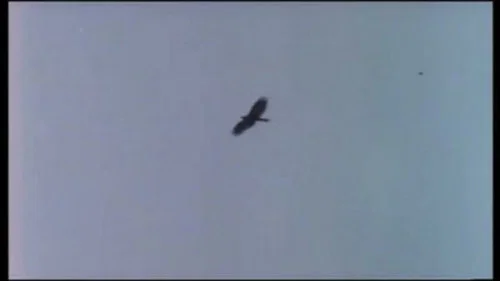 Эпизод 7