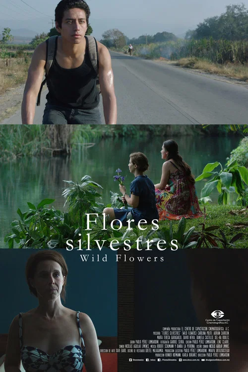 Flores silvestres постер