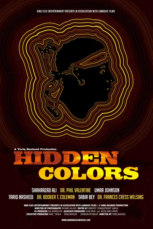 Hidden Colors постер