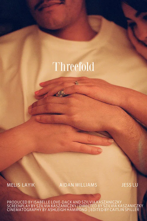 Threefold постер