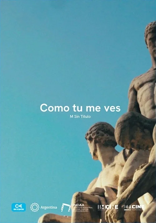 Como tú me ves постер