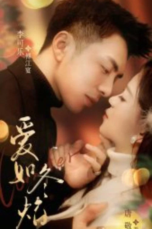 爱如冬焰 постер