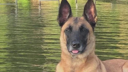 Эпизод 5