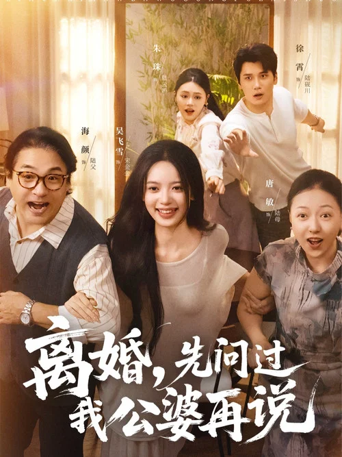 离婚，先问过我公婆再说 постер