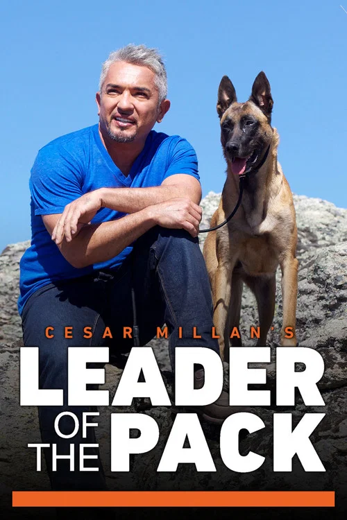 Cesar Millan's Leader of the Pack постер