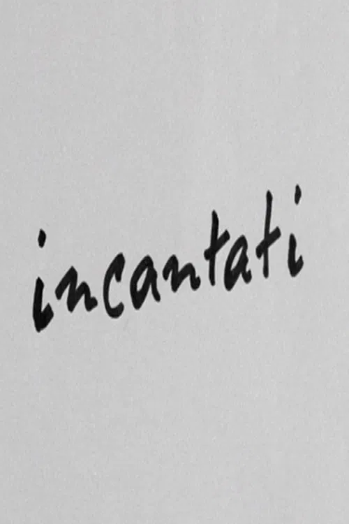 Incantati постер