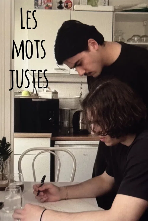Les mots justes постер