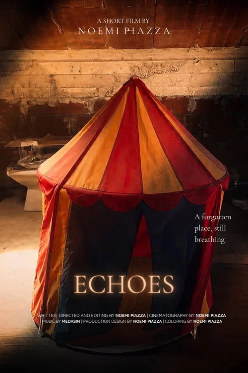 Echoes постер