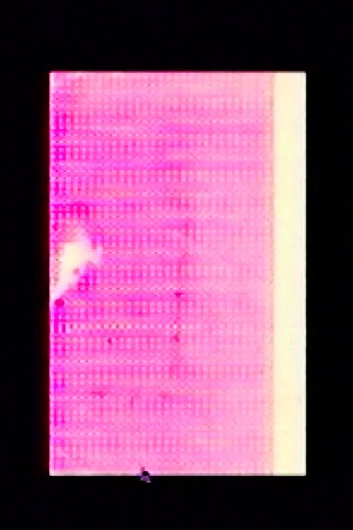 Cousins постер
