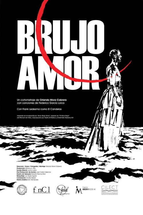 Brujo amor постер