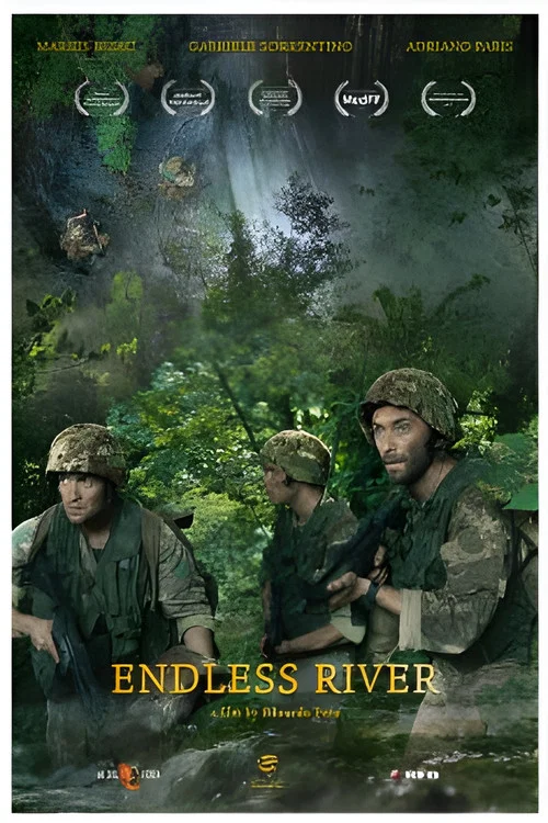 Endless River постер