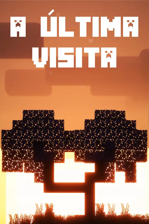A Última Visita постер