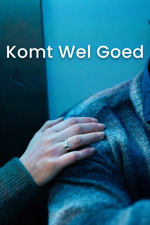 Komt Wel Goed постер