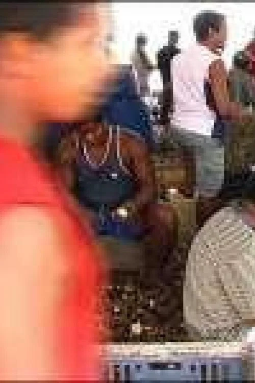 Volta Ao Longe постер