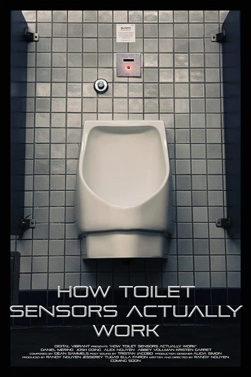 How Toilet Sensors Actually Work постер