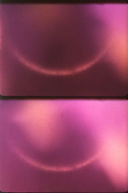 Light Licks Series постер