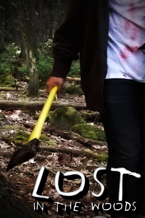 Lost In The Woods постер