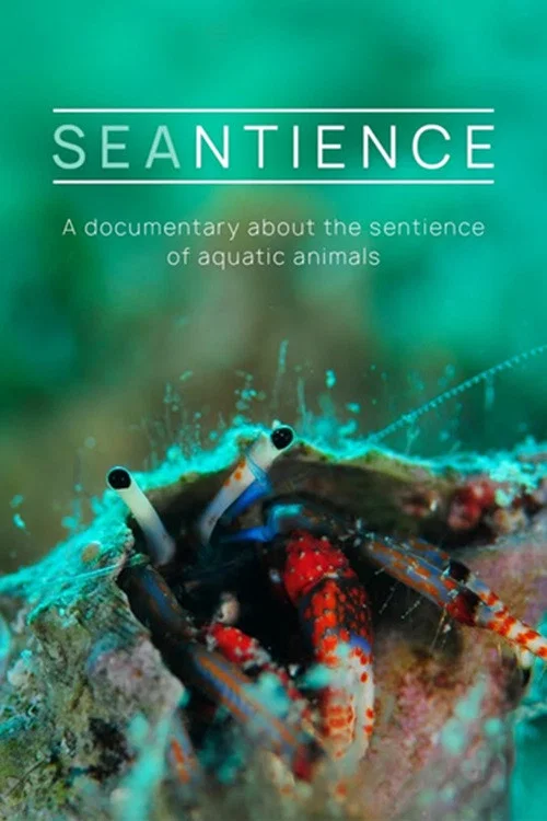 Seantience постер