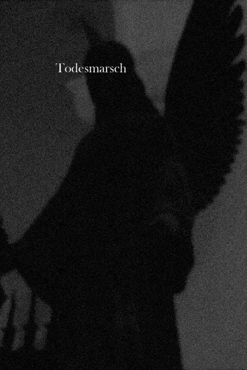 Todesmarsch постер