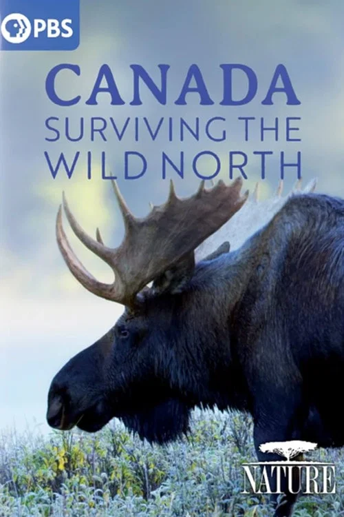 Canada: Surviving the Wild North постер